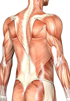 Dr. Adnan Sammour Treats Muscle and Myofascial Disorder